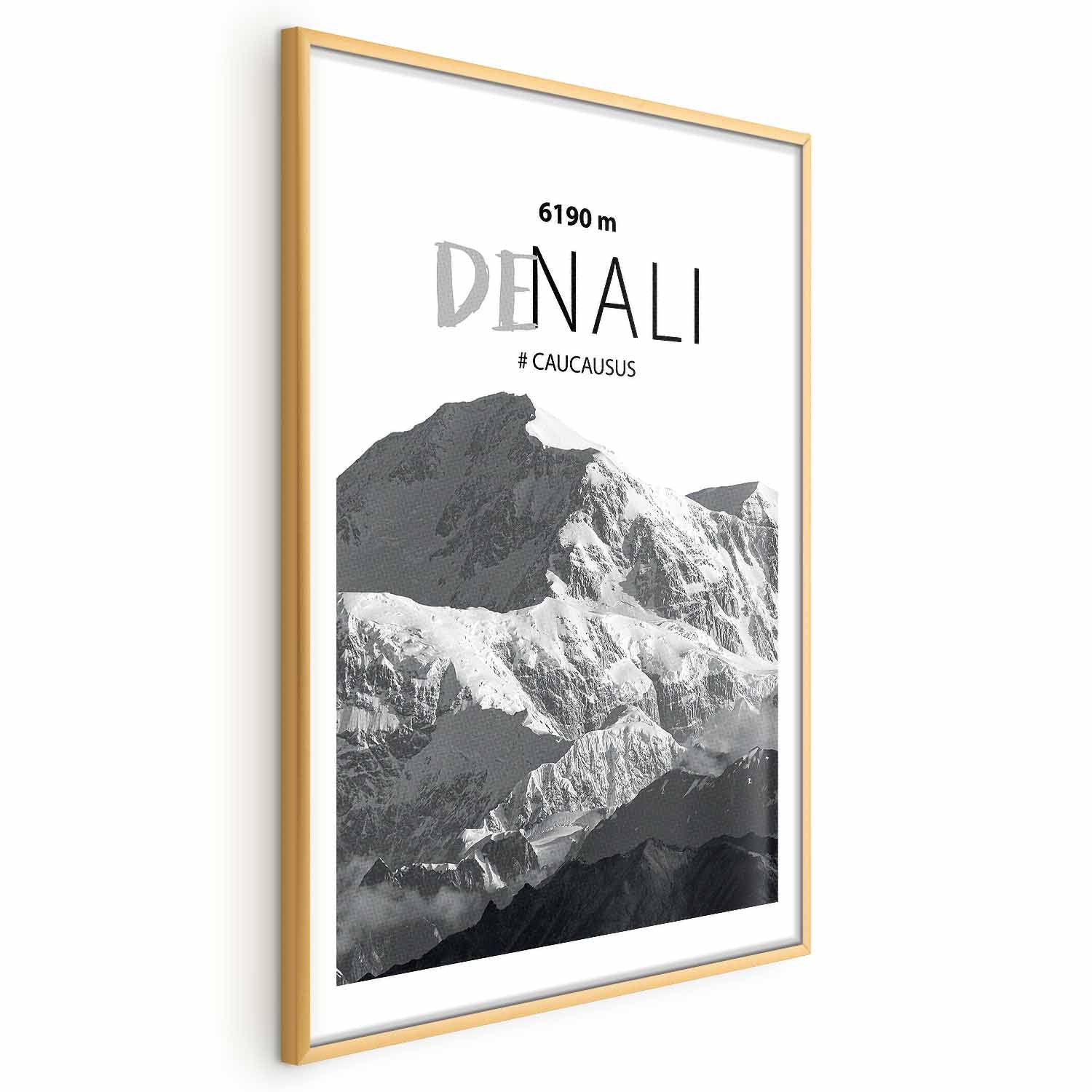 Denali Mountain Peak Landscape Poster