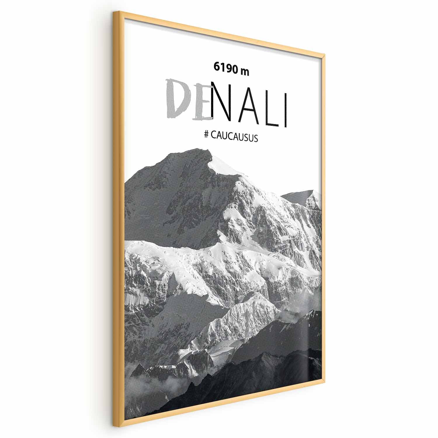 Denali Mountain Peak Landscape Poster