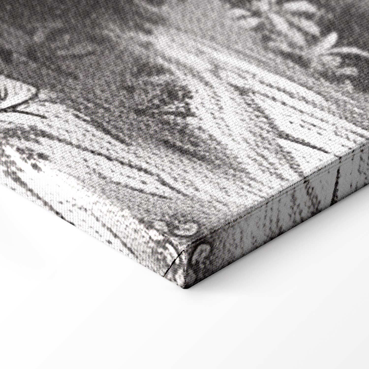 Vintage Pond Boat Black and White Canvas Print