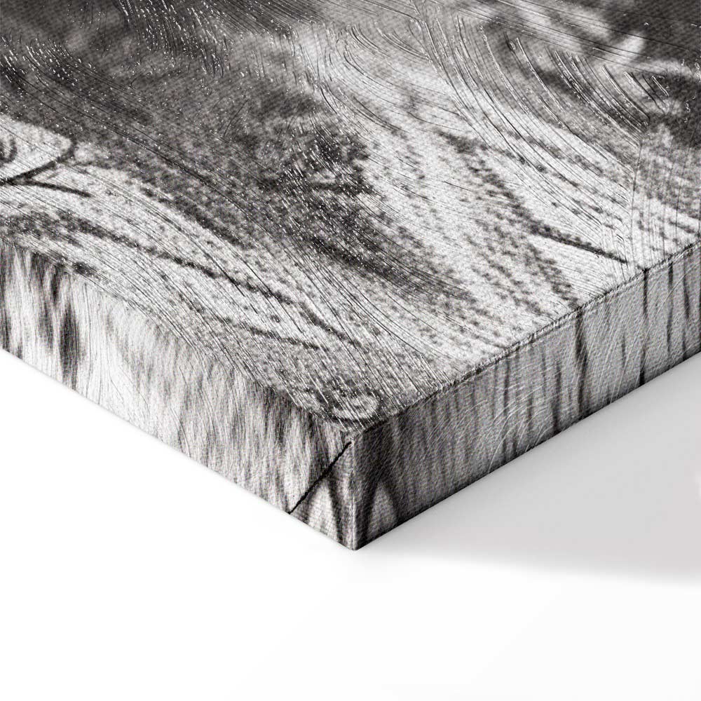 Vintage Pond Boat Black and White Canvas Print