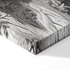 Vintage Pond Boat Black and White Canvas Print