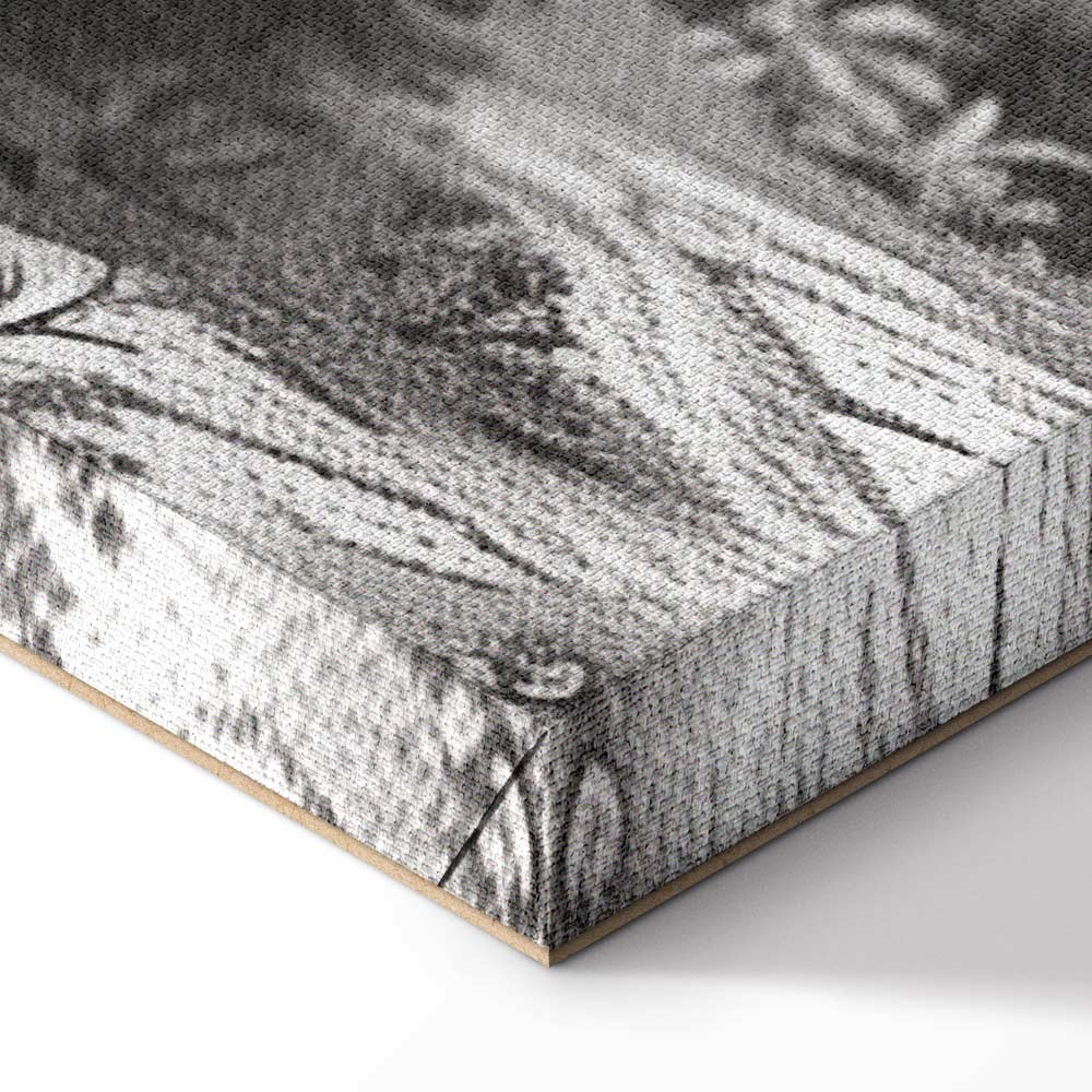 Vintage Pond Boat Black and White Canvas Print