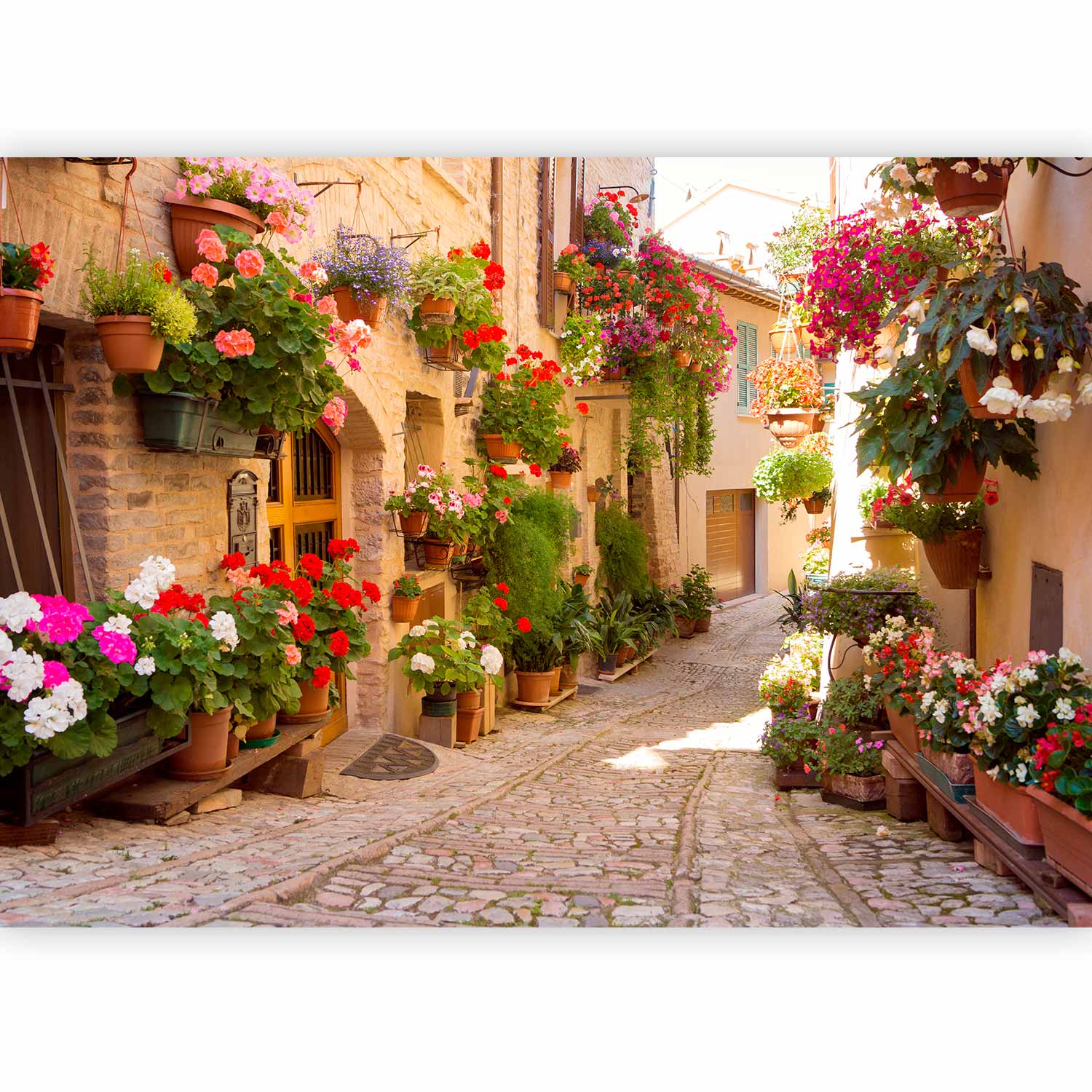 Spello Italy Flowered Alley Street Wall Mural