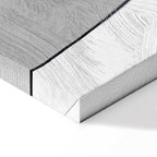 Funny Dog Quote Canvas Print