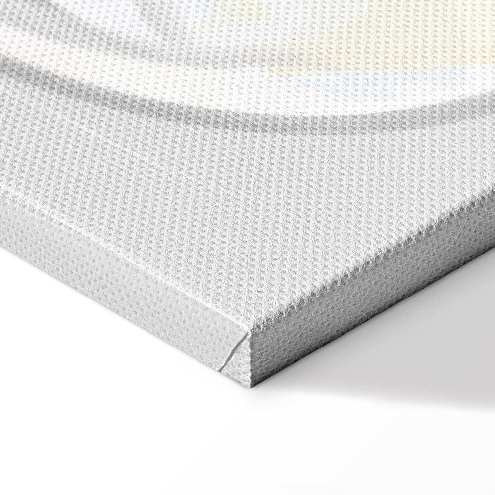 Sleepy Kitty Funny Cat Canvas Print