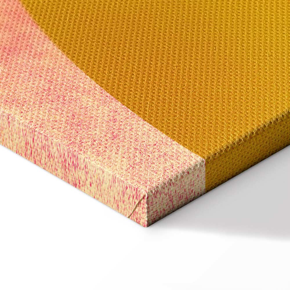 Playful Lion Kids Canvas Print