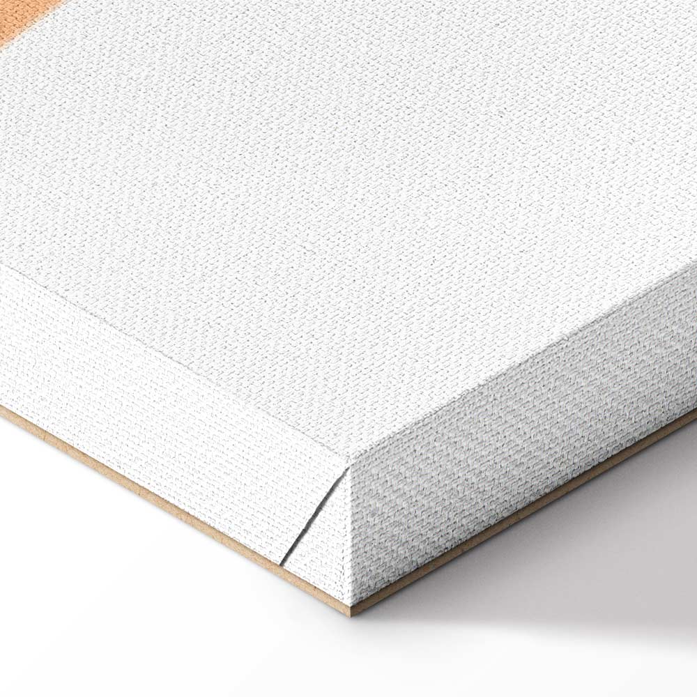 Funny Giraffe Animals Canvas Print