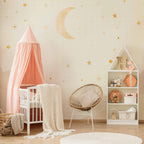 Starry Night Sky Wall Mural