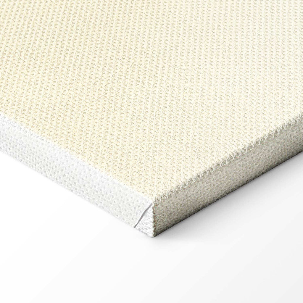 Moon and Stars Light Background Canvas Print