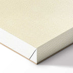 Moon and Stars Light Background Canvas Print