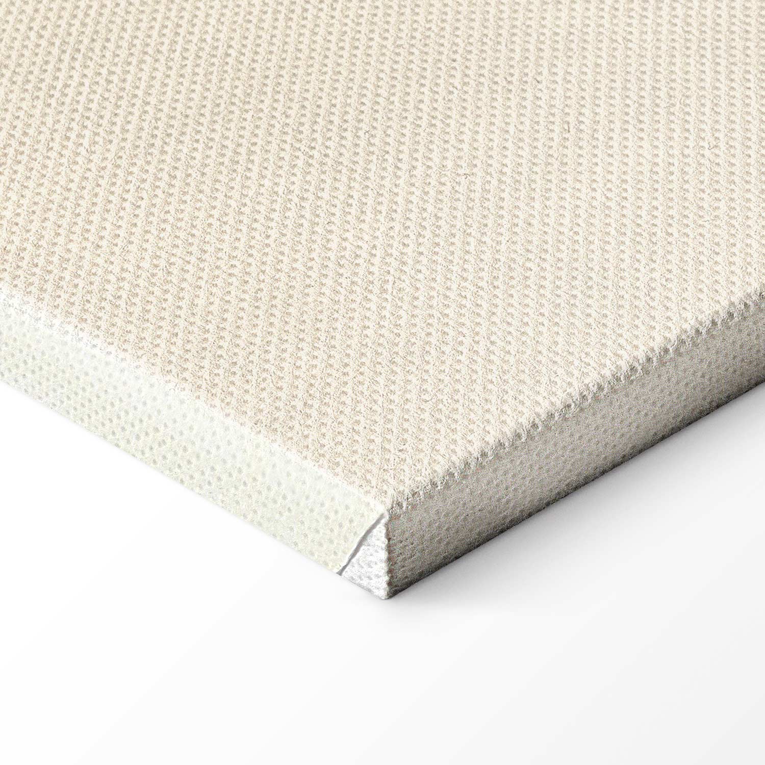 Mouse on Moon Fantasy Canvas Print