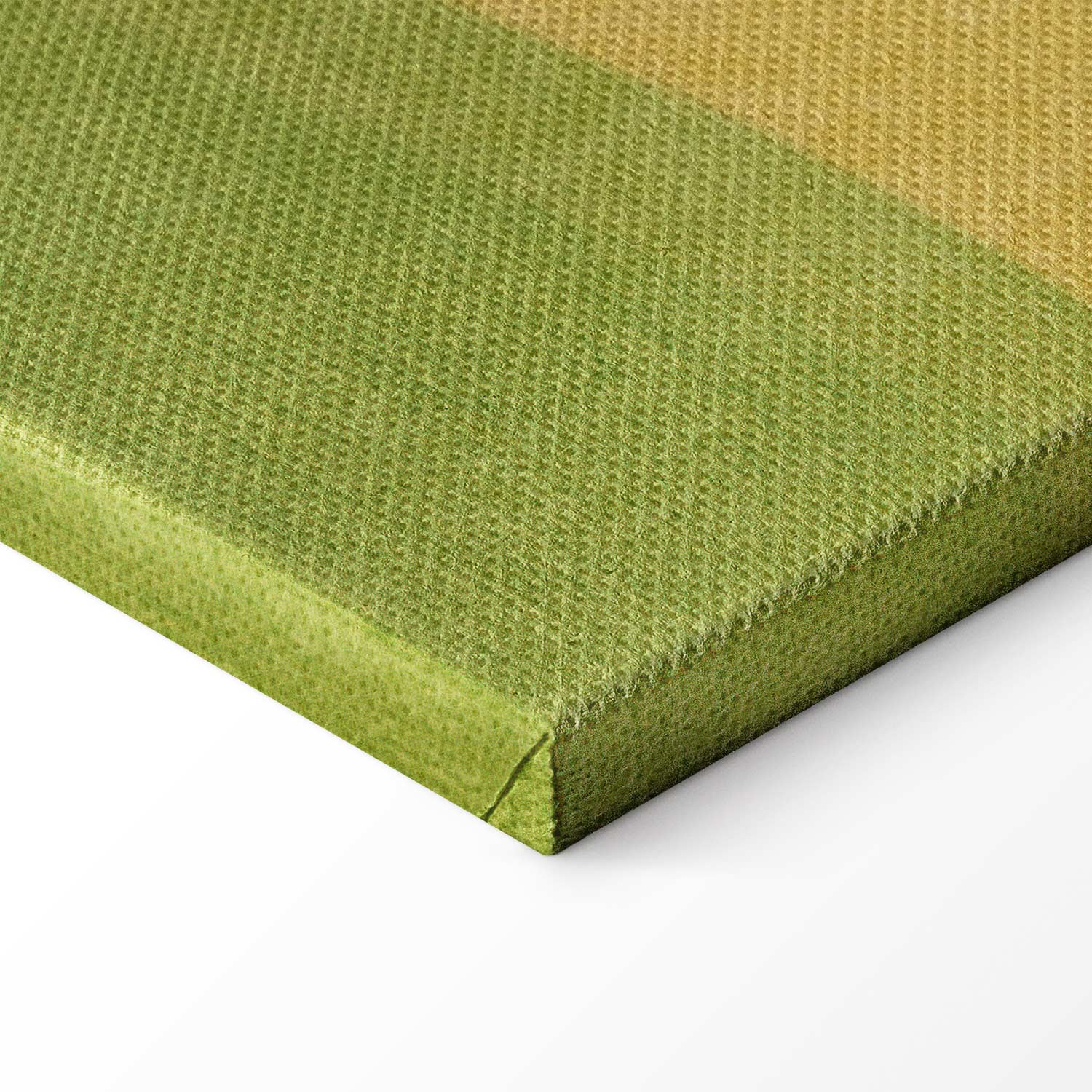 Giraffe Driving Car Sunny Day Canvas Print