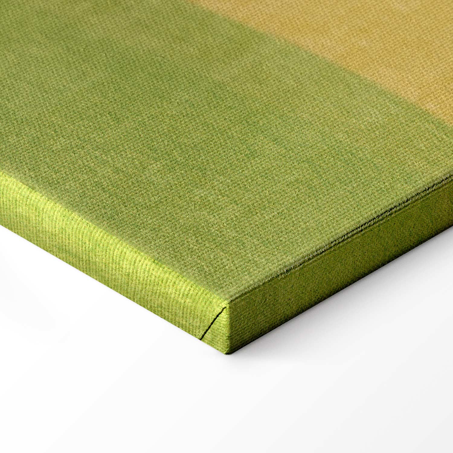 Giraffe Driving Car Sunny Day Canvas Print