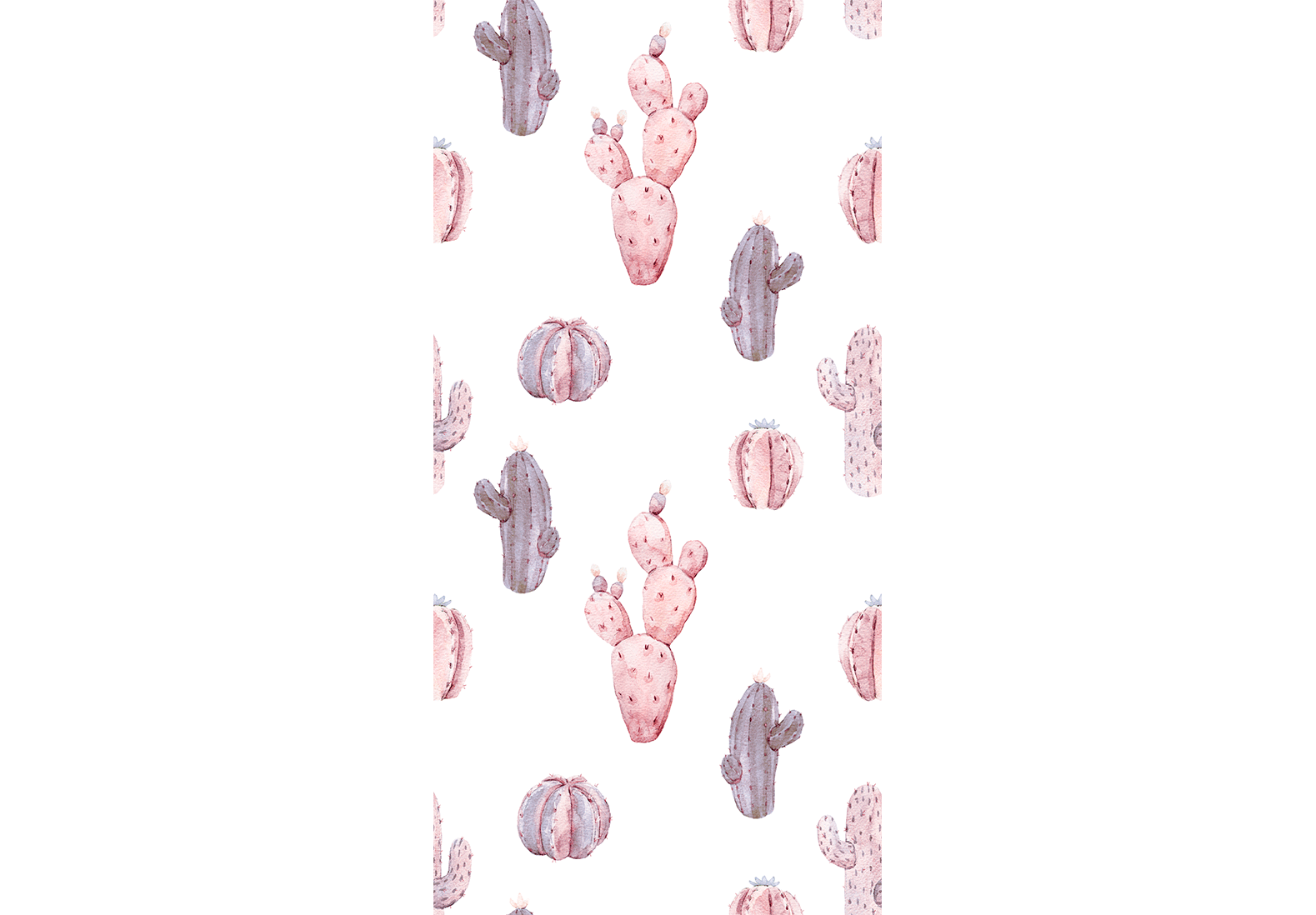 Wallpaper Pink Cacti
