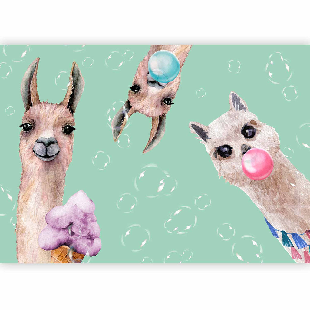 Crazy Llamas Funny Wall Mural