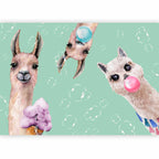 Crazy Llamas Funny Wall Mural