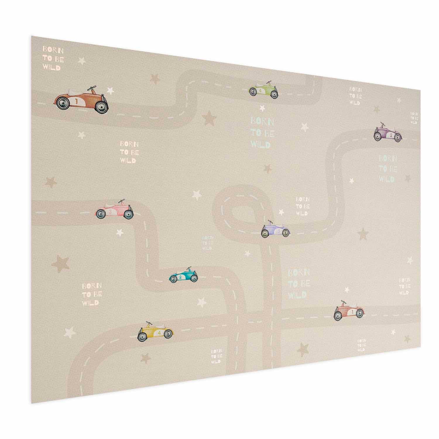 Racing Cars Kids Poster