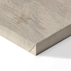 Colorful Race Cars on Beige Canvas Print