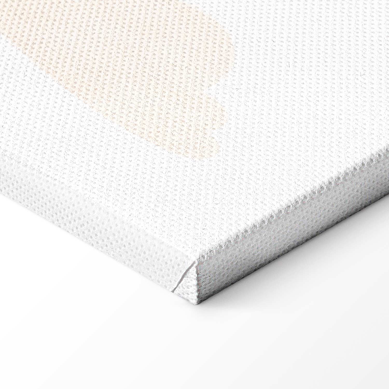 Subdued Hot Air Balloons Sky Canvas Print