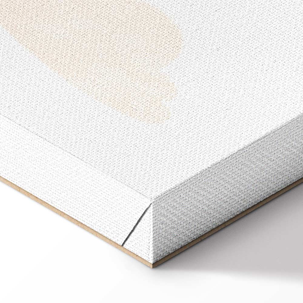 Subdued Hot Air Balloons Sky Canvas Print