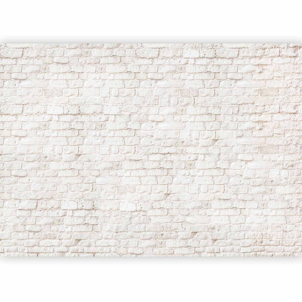 Modern Architectural Texture Wall Mural