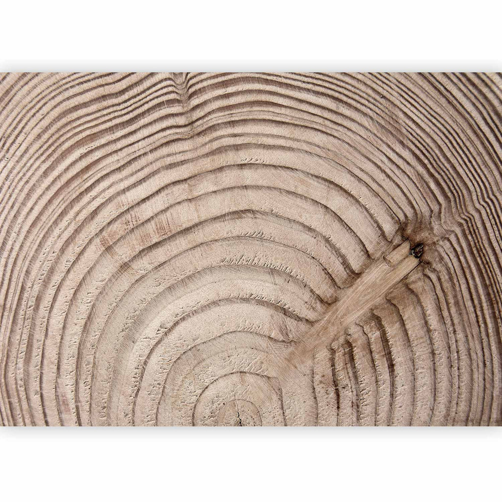 Wood Grain Texture Rustic Wall Mural