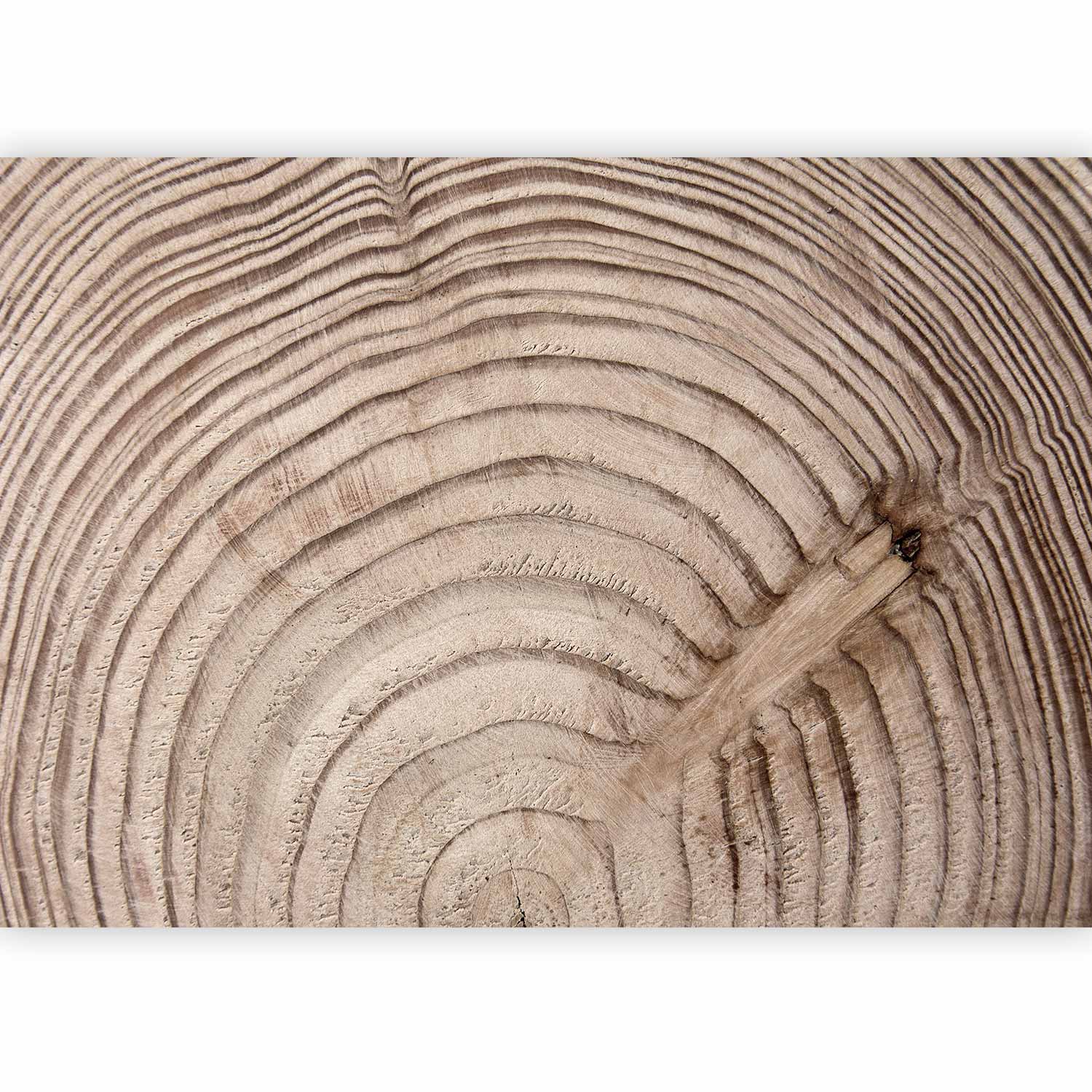 Wood Grain Texture Rustic Wall Mural