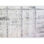 Concrete Wall Texture Modern Wall Mural