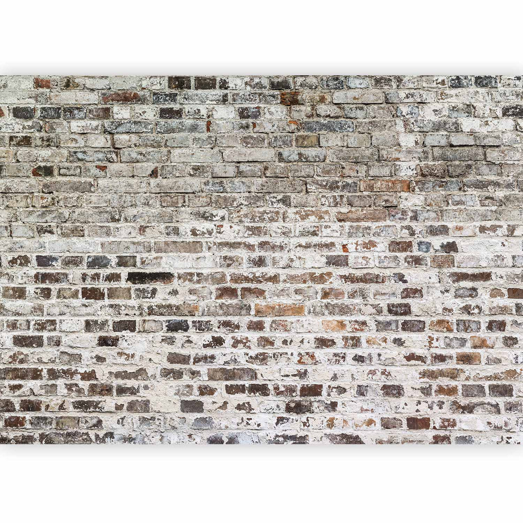 Urban Concrete Texture Wall Mural