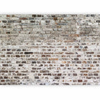 Urban Concrete Texture Wall Mural