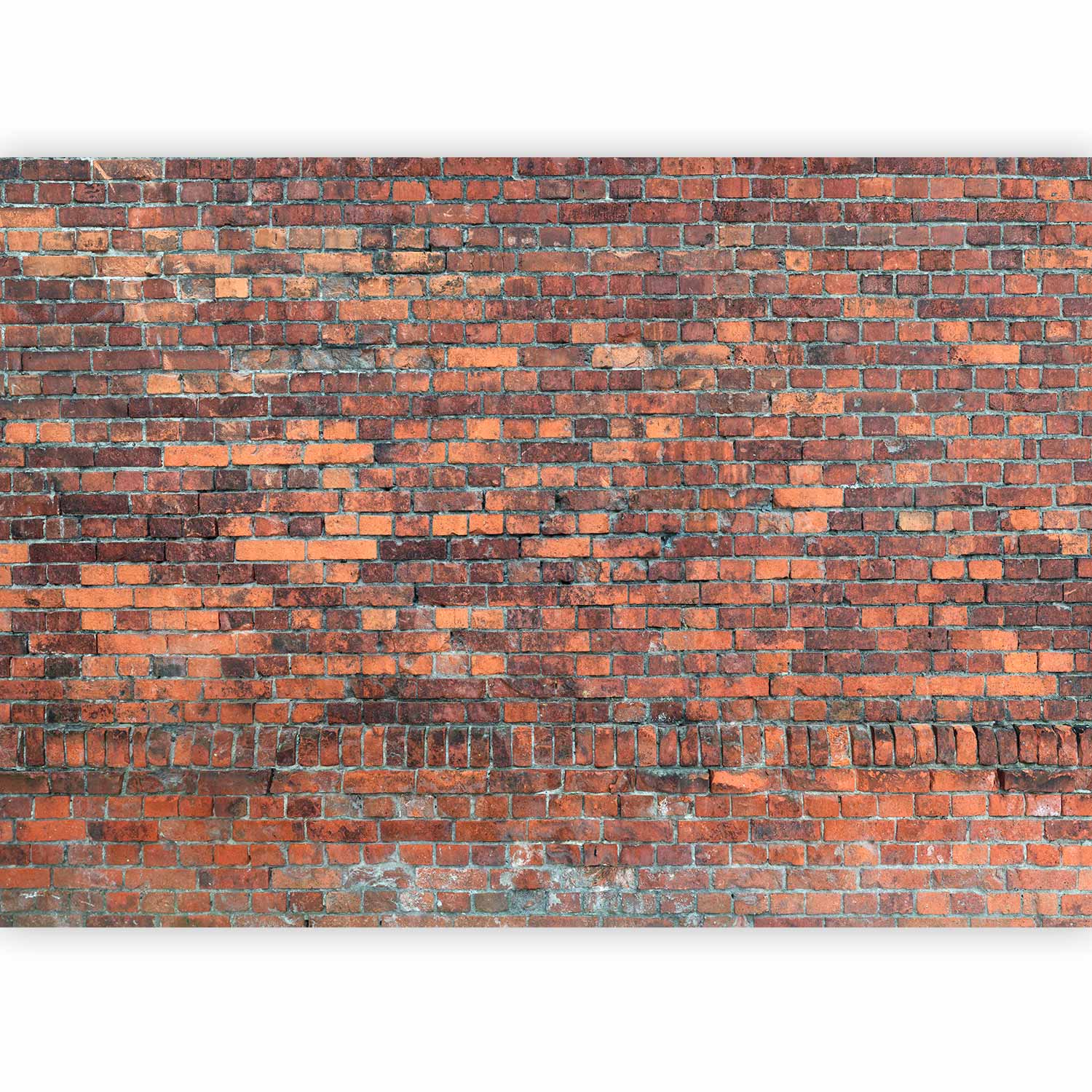 Red Brick Vintage Texture Wall Mural