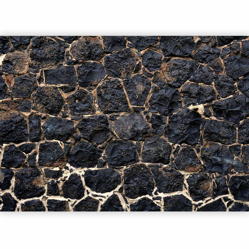 Stony Twilight Black Stone Texture Wall Mural