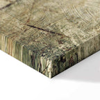 Foggy Abstract Grey Canvas Print