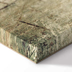 Foggy Abstract Grey Canvas Print