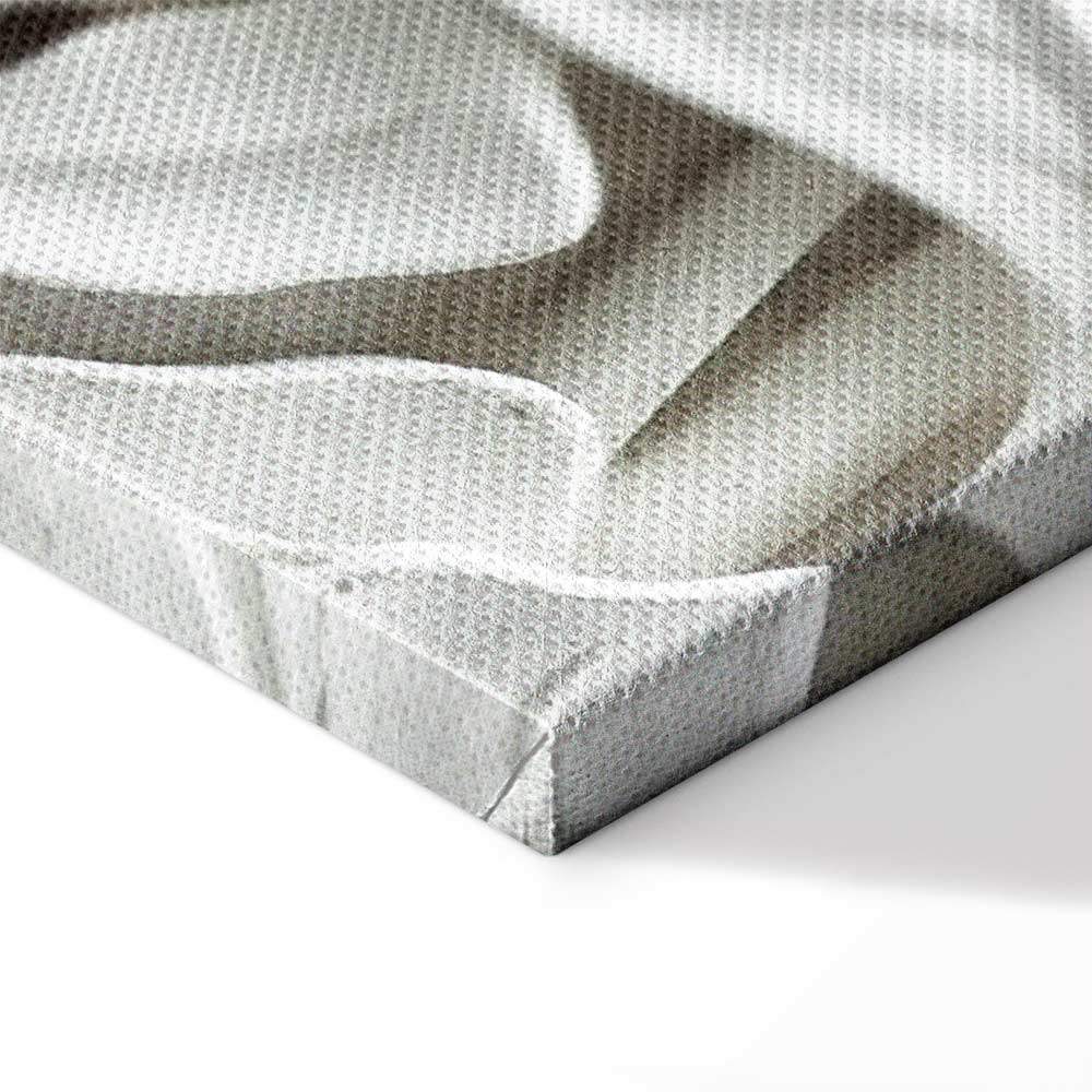 Alabaster Floral Texture Canvas Print (5 Parts) Wide