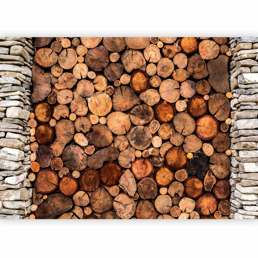 Wooden Gate Texture Wall Mural