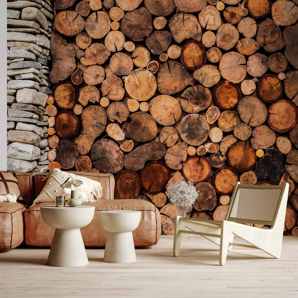 Wooden Gate Texture Wall Mural