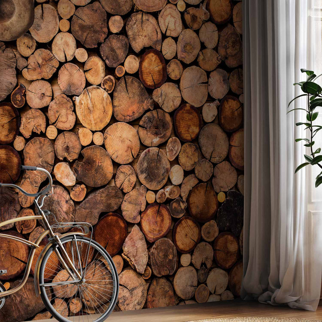 Wooden Gate Texture Wall Mural