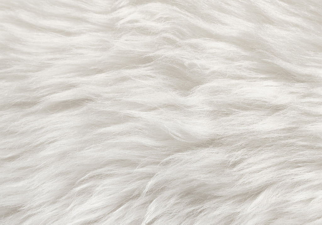 Wall Mural - Natural Delicacy