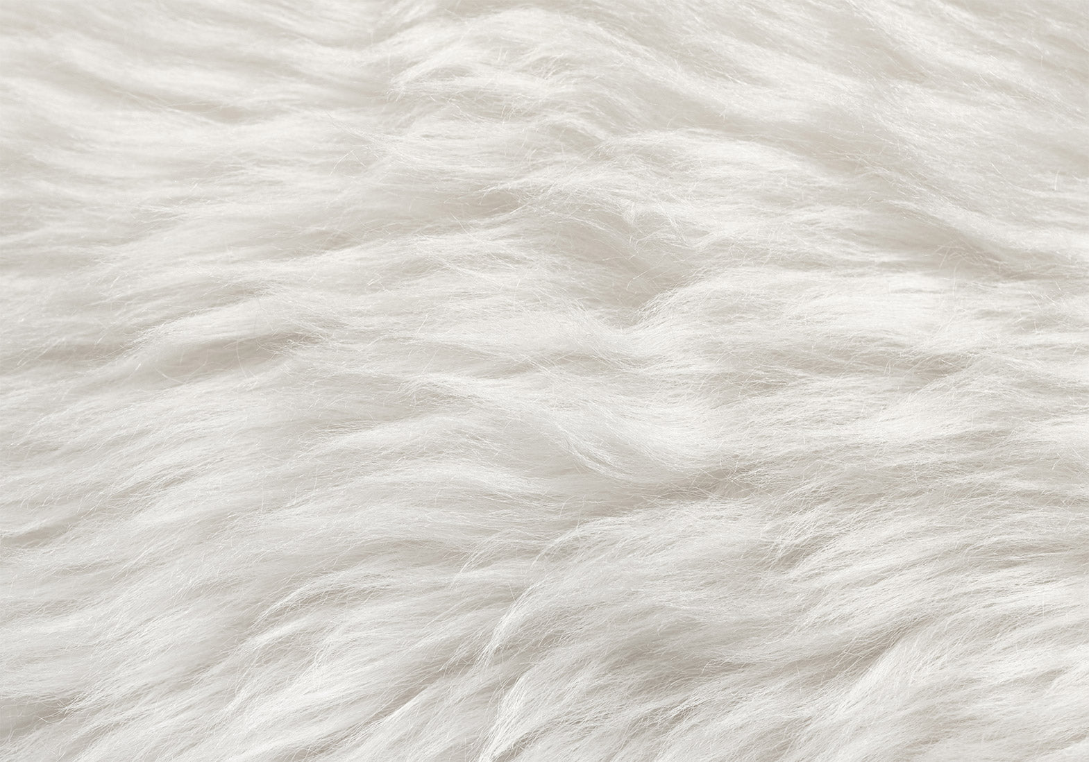 Wall Mural - Natural Delicacy