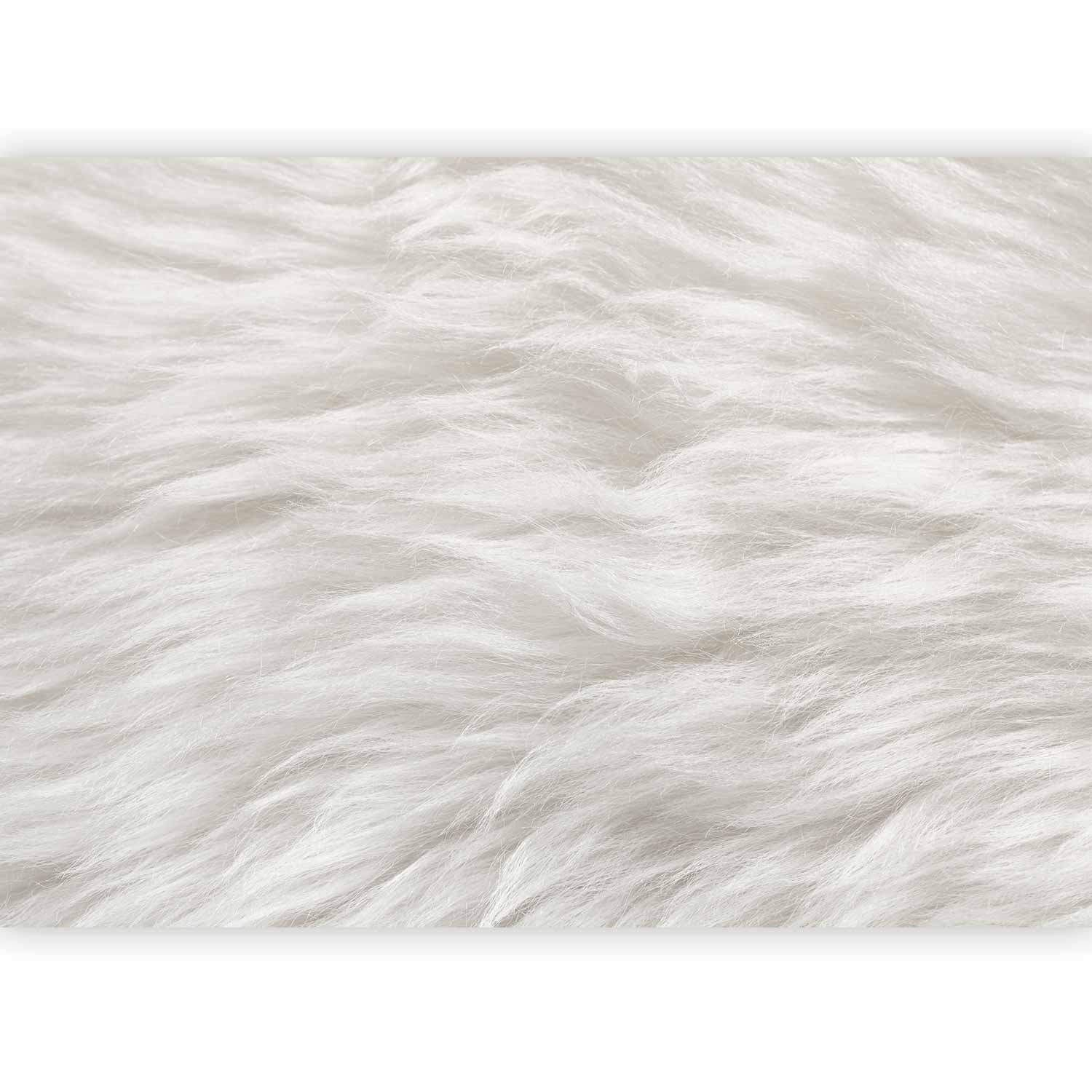 Wall Mural - Natural Delicacy