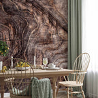 Wrinkled Tree Bark Abstract Wall Mural