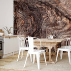 Wrinkled Tree Bark Abstract Wall Mural