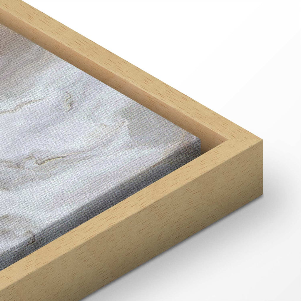 Neutral Marble Abstraction Canvas Print