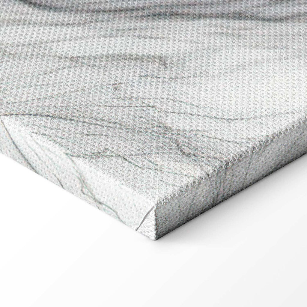 Neutral Marble Stone Structure Abstract Canvas Print