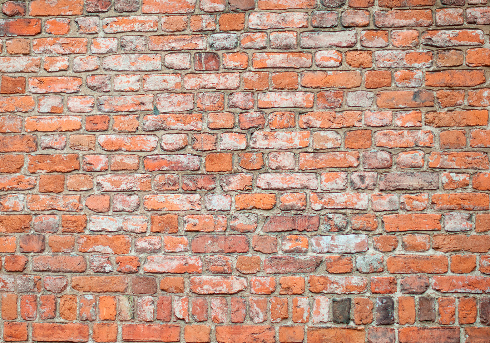 Wall Mural Loft Wall Pattern Imitating Old Red Brick