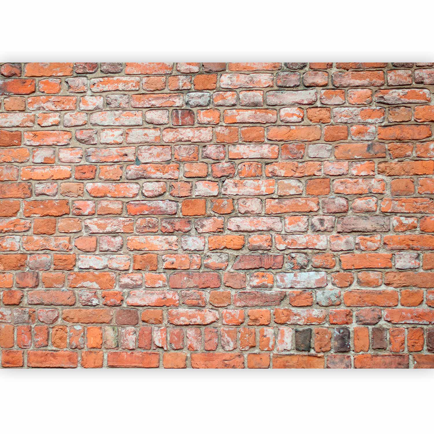 Wall Mural Loft Wall Pattern Imitating Old Red Brick
