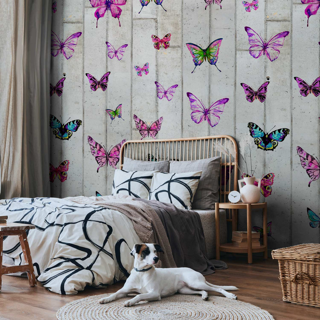 Colorful Butterflies Concrete Texture Wallpaper