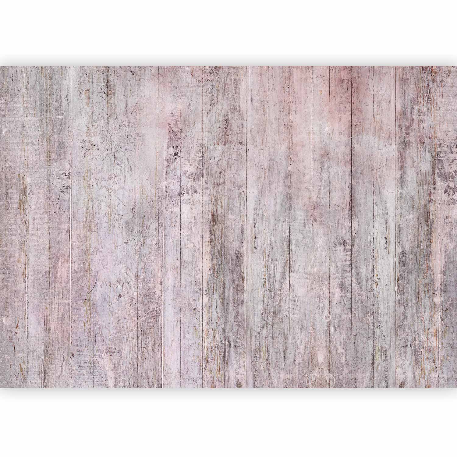 Wall Mural Rustic Textures - Second Variant