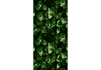 Greenery Leaves Wallpaper for Fresh Interiors